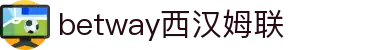 BETWAY·必威(西汉姆联)官方网站-West Ham United